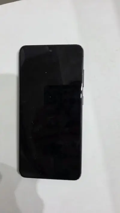 S21 FE - 256 GB