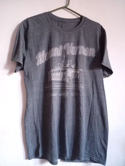 Remera gris