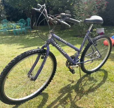 Bicicleta Mountain Bike