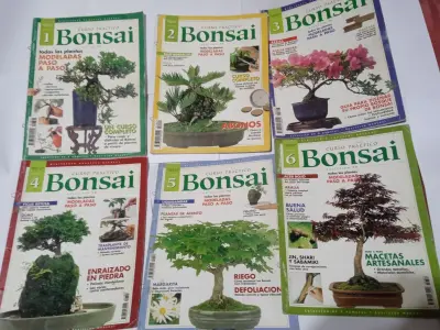 Colección 6 libros curso bonsái