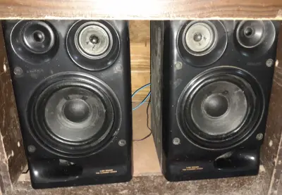 Parlantes sony