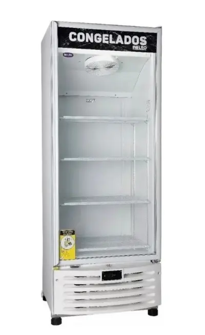Freezer Vertical Inelro
