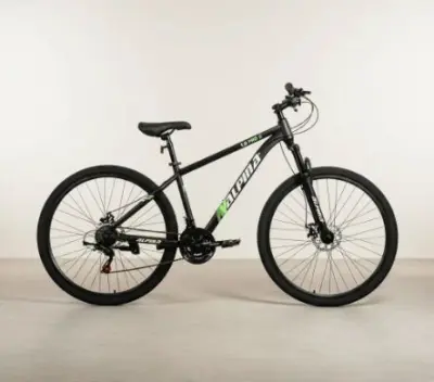 Bicicleta Alpina Mtb Mountain Bike 1.0 Rodado 29 21 Velocidades Acero Freno Disco