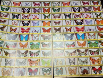 plancha tipo estampilla de mariposas