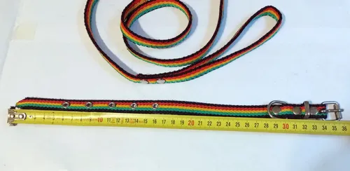 Correa Y Collar Ajustables Para Gatos Y Perros Pequeños Multicolor Rayas Pequeño