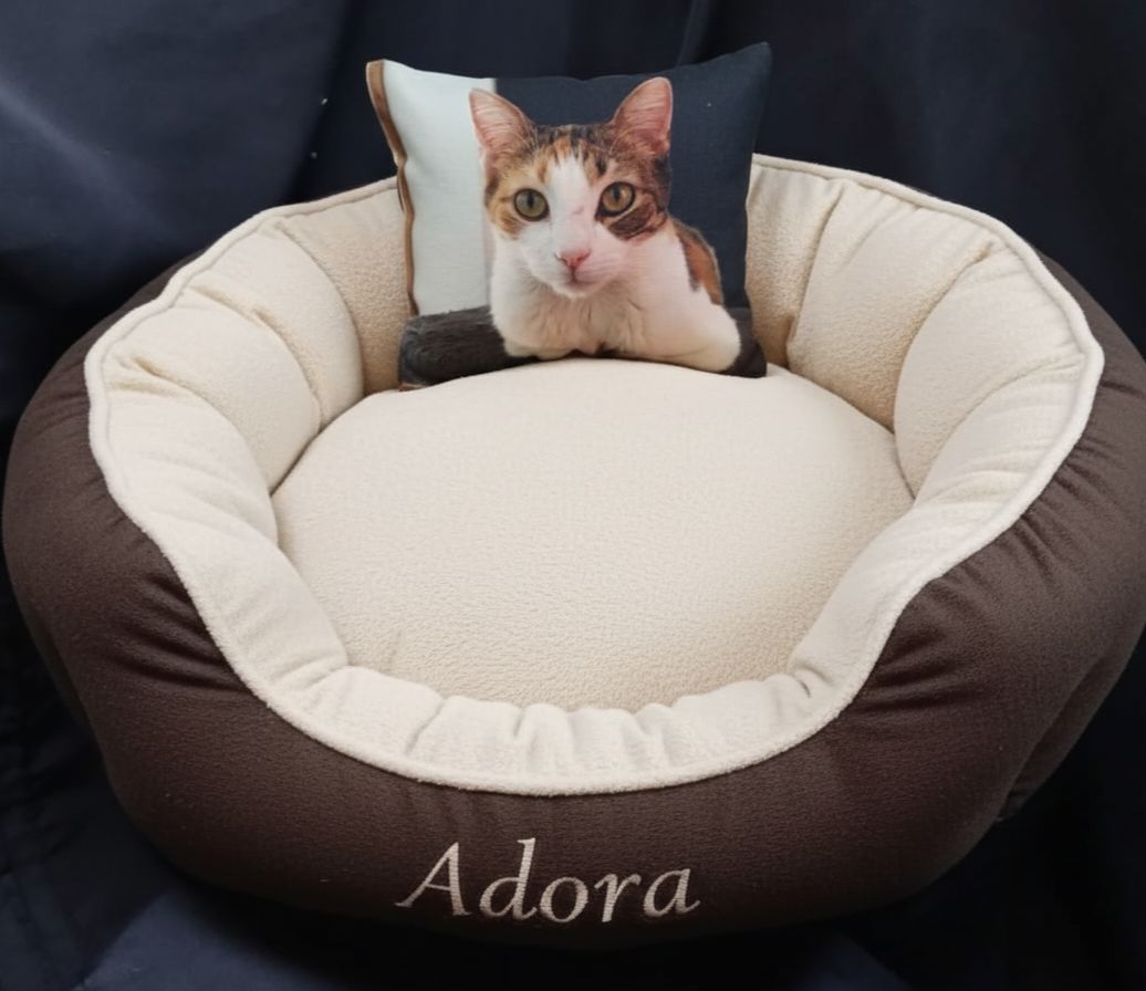 Camas Para Perros Y Gatos!! Varias Medidas!!