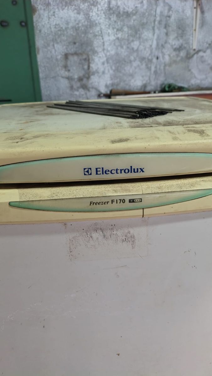 Freezer vertical Electrolux