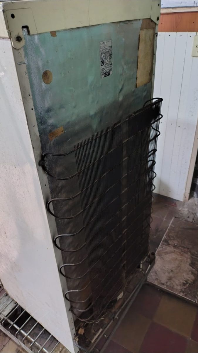 Freezer vertical Electrolux