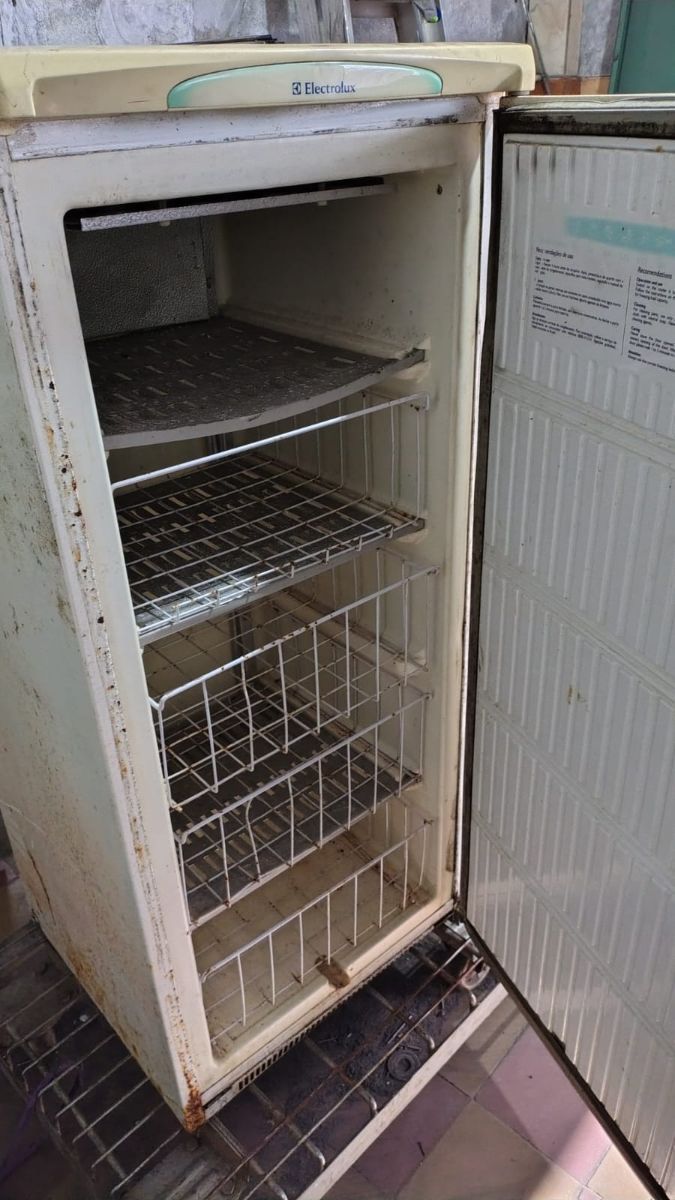 Freezer vertical Electrolux