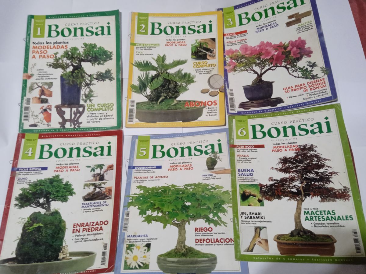 Colección 6 libros curso bonsái