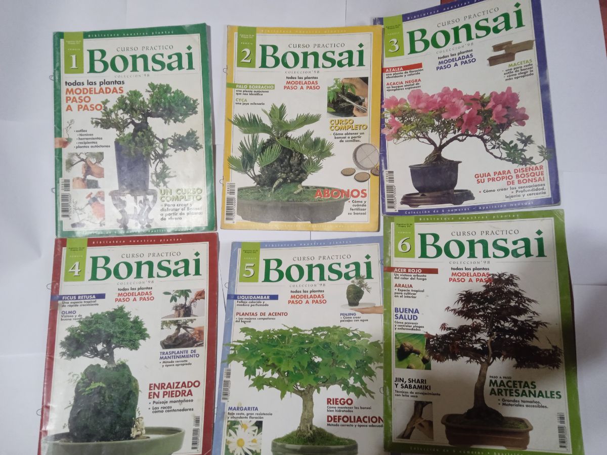 Colección 6 libros curso bonsái