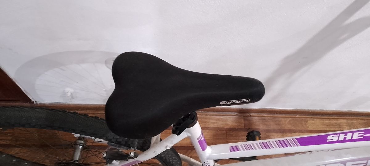 Bicicleta Fire Bird City R26 