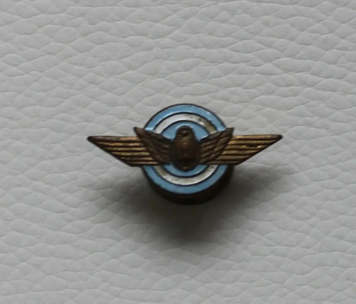 Pin Fuerza Aérea Argentina - Antiguo