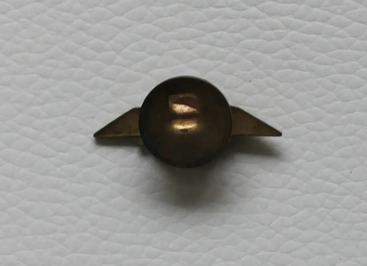 Pin Fuerza Aérea Argentina - Antiguo