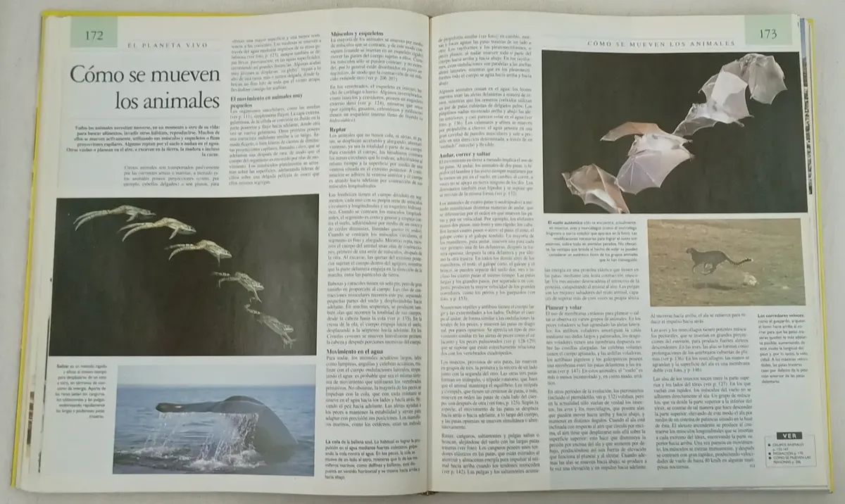 La Argentina En El Siglo Xx La Nación