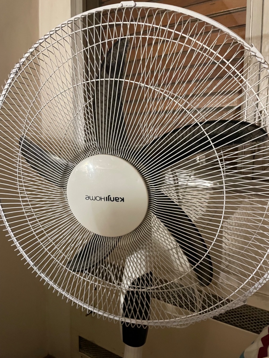 Ventilador KanjiHome