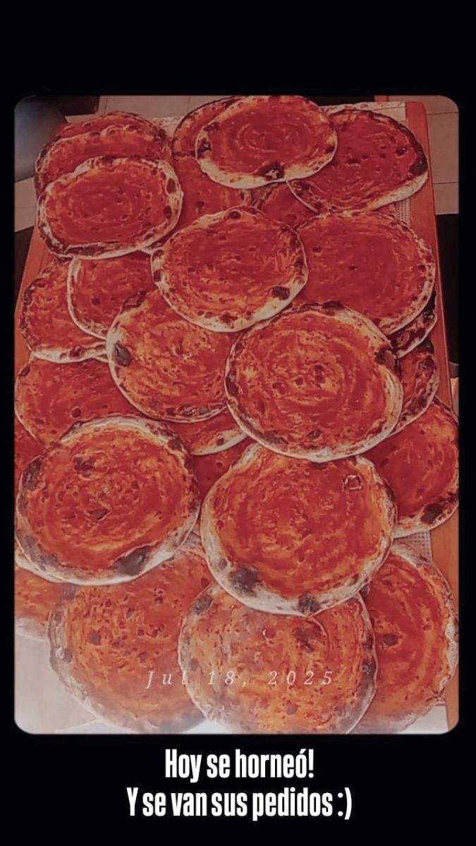 Horno pizzero "Eco forno"