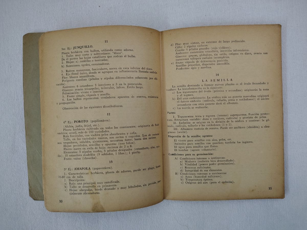 Botánica - Mentores Estudiantiles. Año 1954 (Para colección)