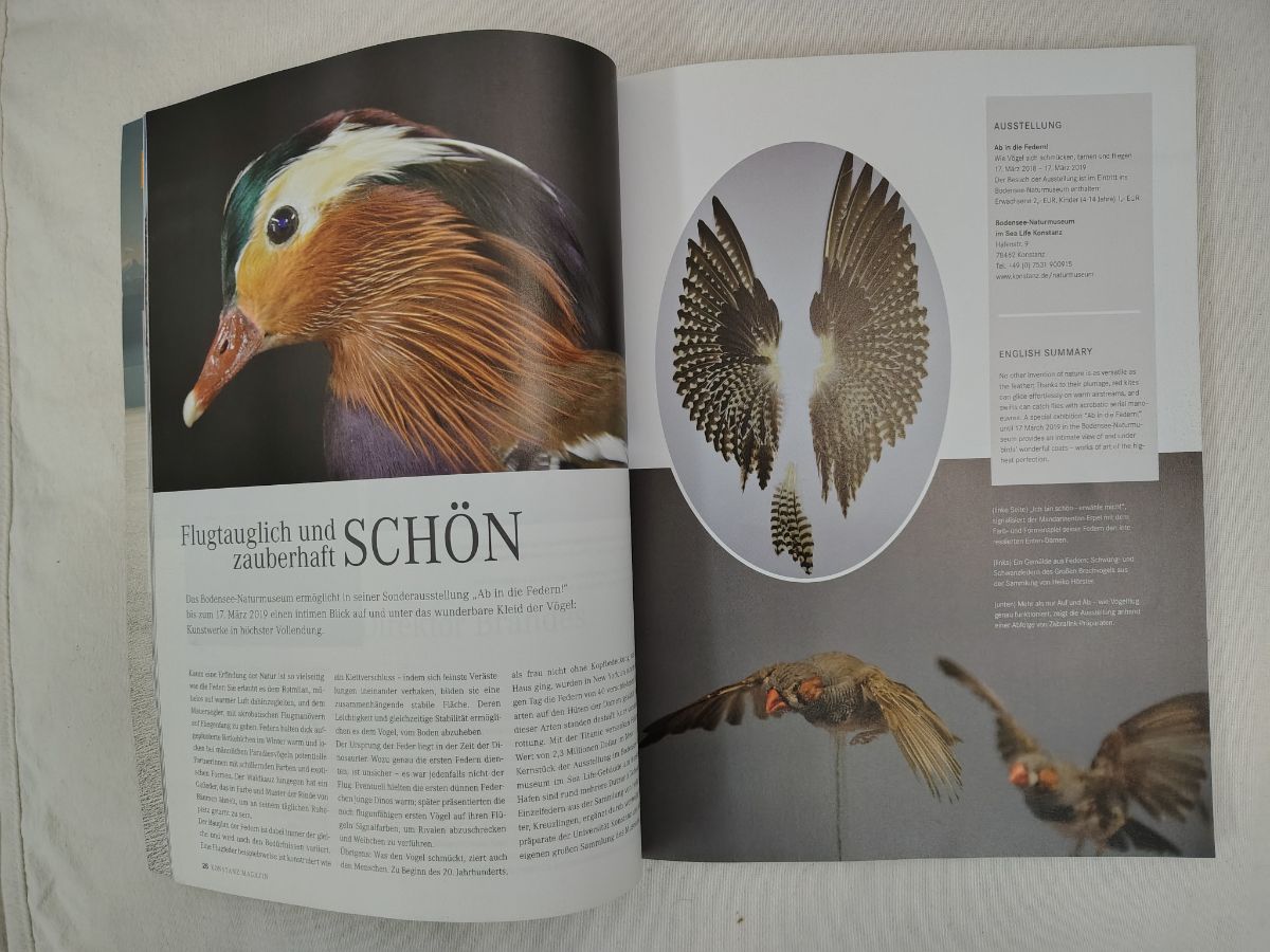 Konstanz Magazin - Revista en alemán