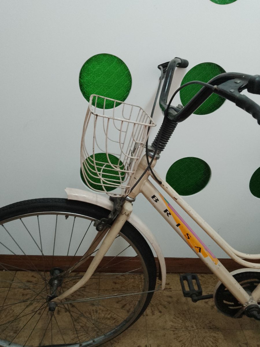 Bicicleta de paseo de Mujer.
