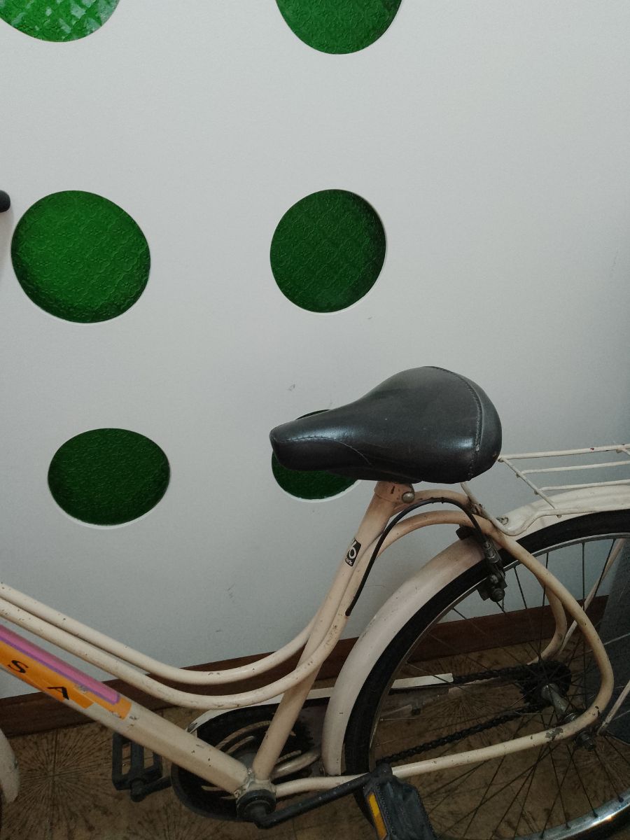 Bicicleta de paseo de Mujer.