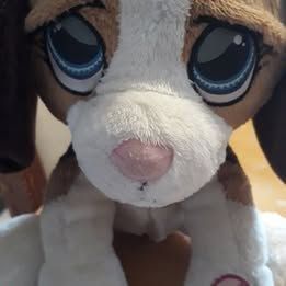 Peluche "Puppies Royal Academy"
