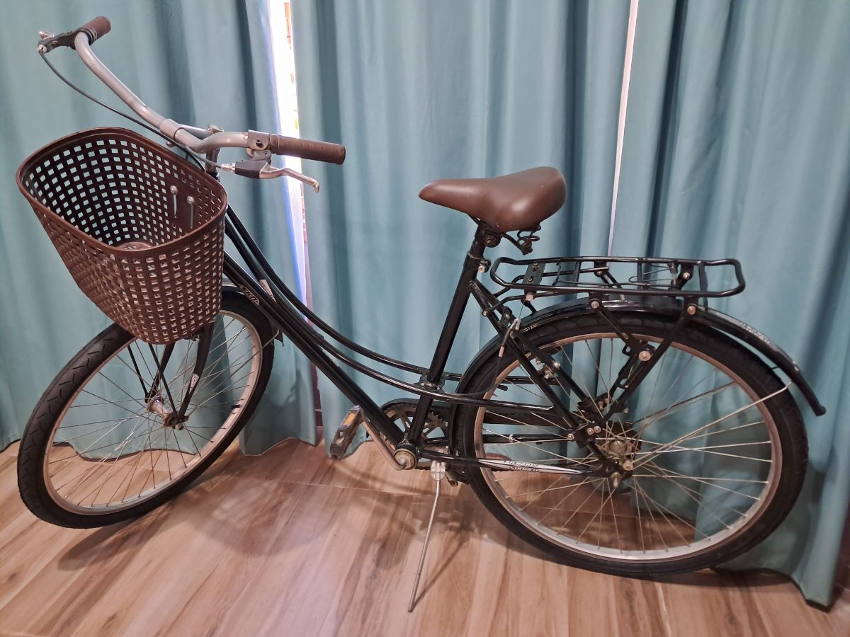 BICI DE DAMA