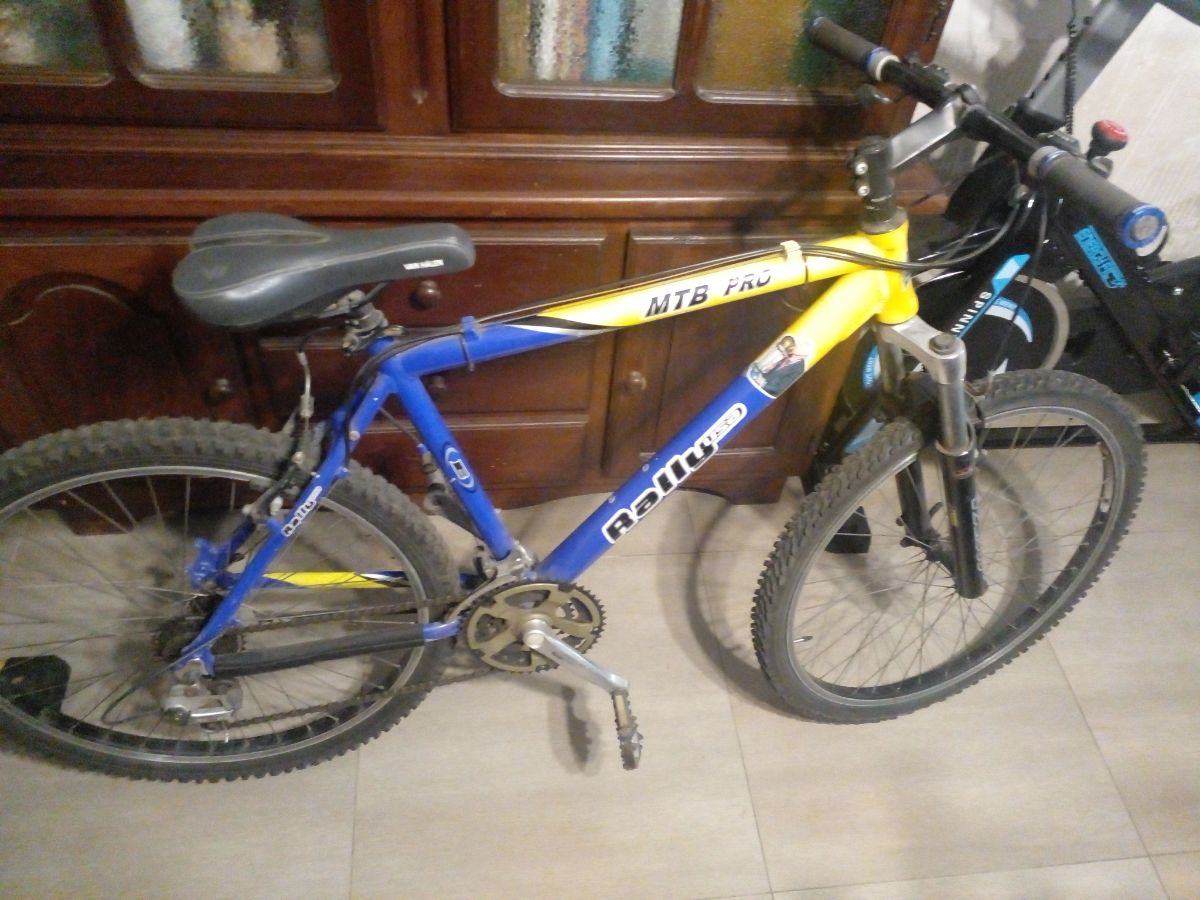Bicicleta vairo 3.8 rodado 26