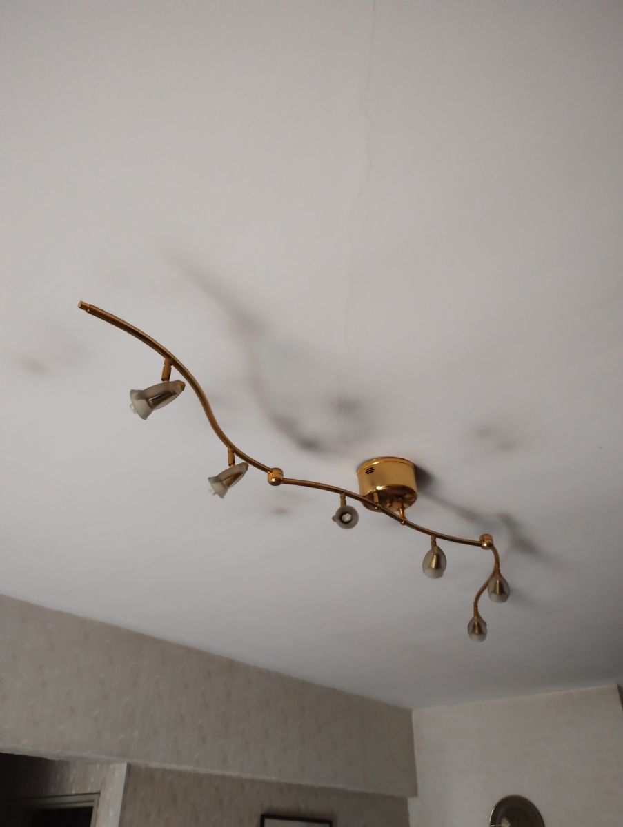 Araña articulada