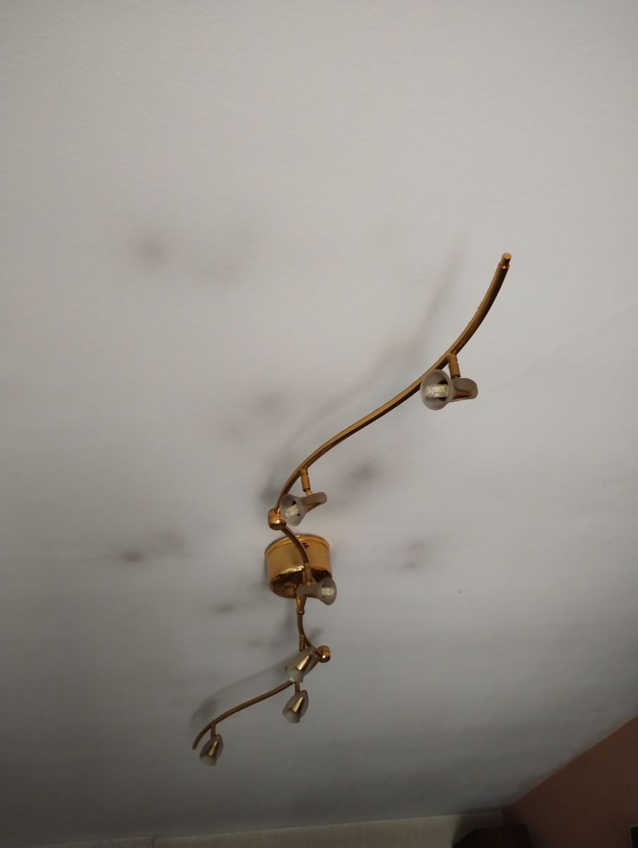Araña articulada