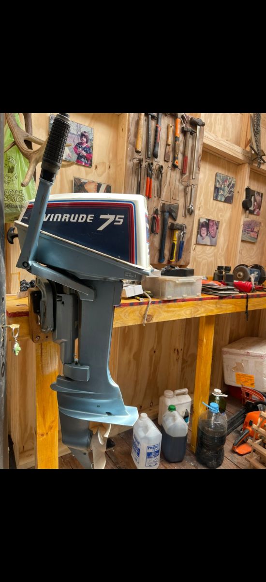 Evinrude 7.5hp pata corta.