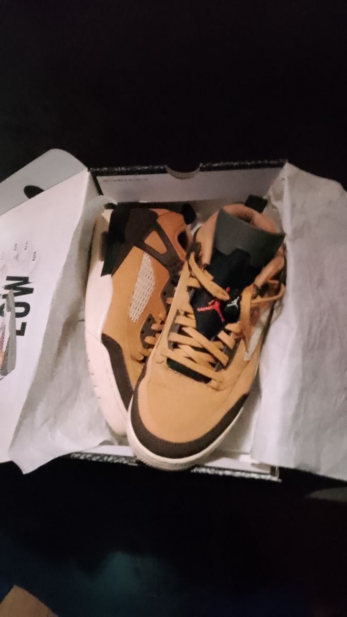 Jordan spizike low  Spike Lee