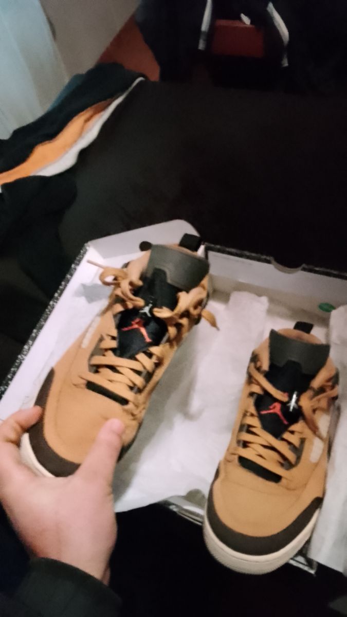 Jordan spizike low  Spike Lee