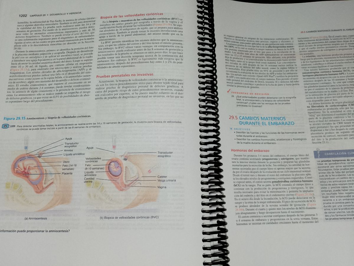 Principios de anatomía y Fisiología de 13 Tortora