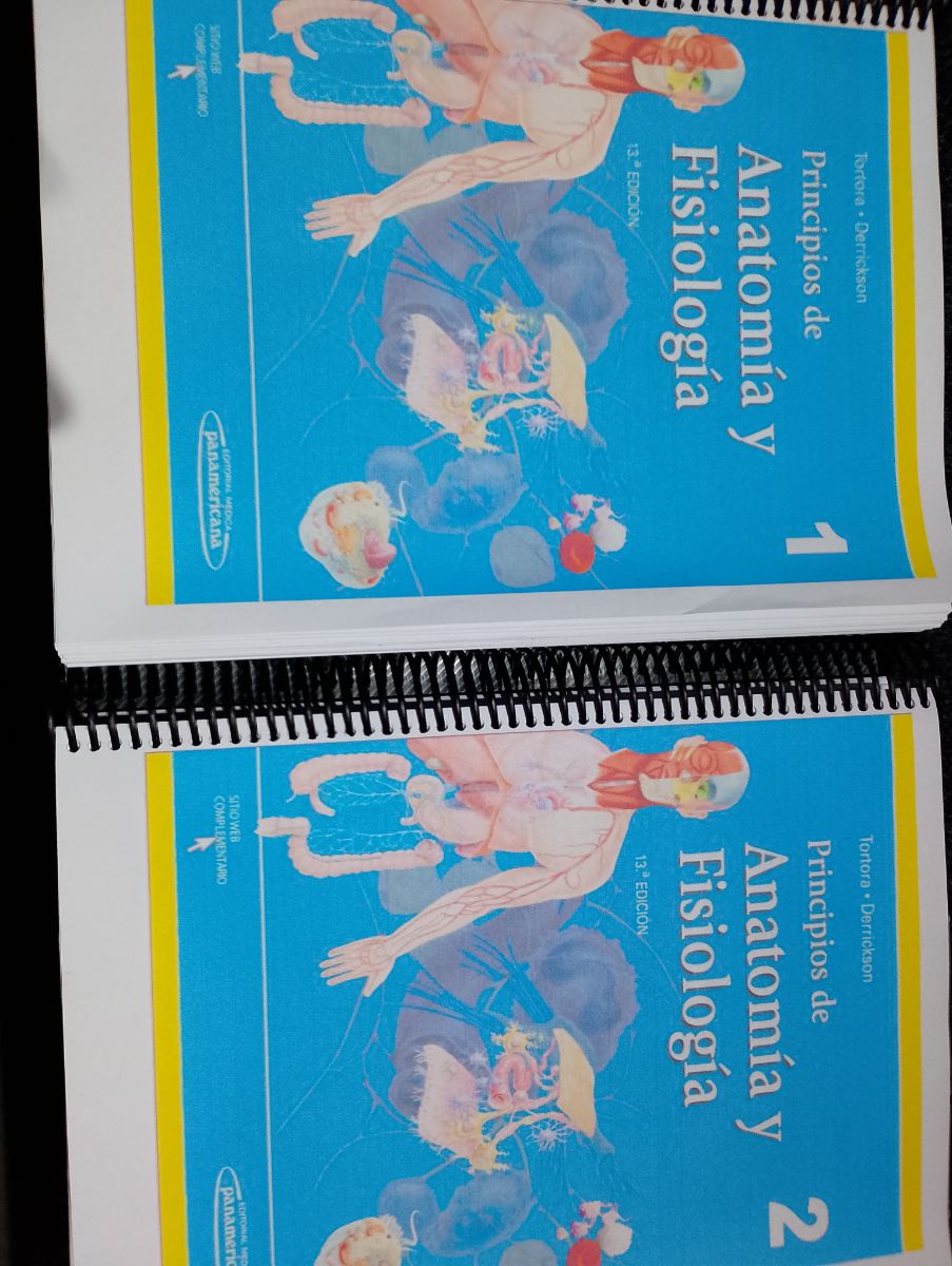 Principios de anatomía y Fisiología de 13 Tortora