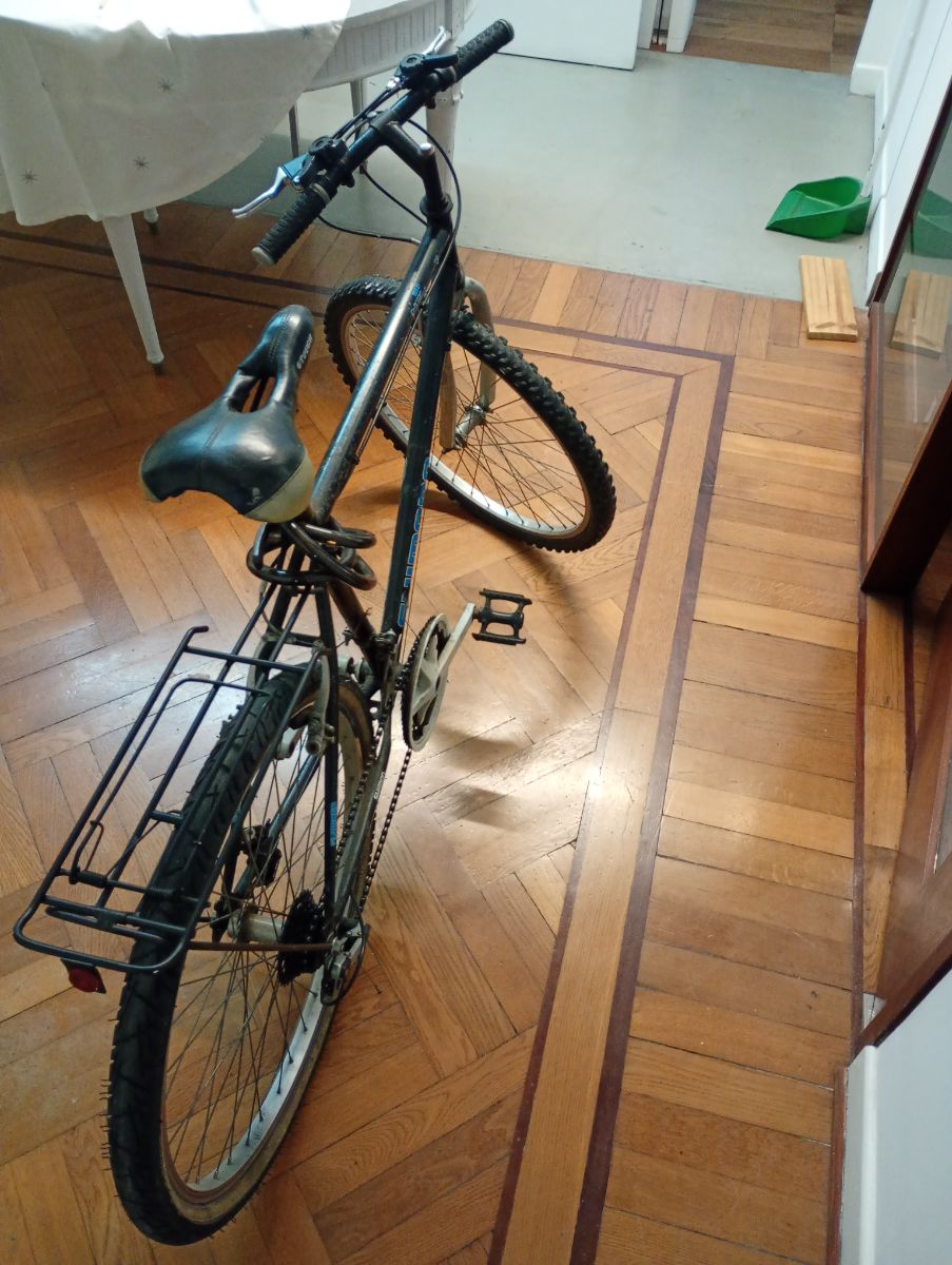 Bicicleta