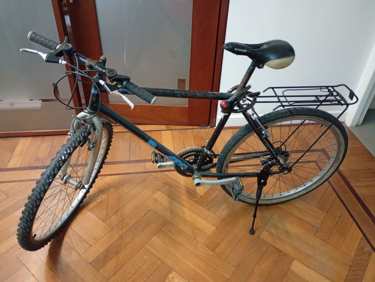 Bicicleta