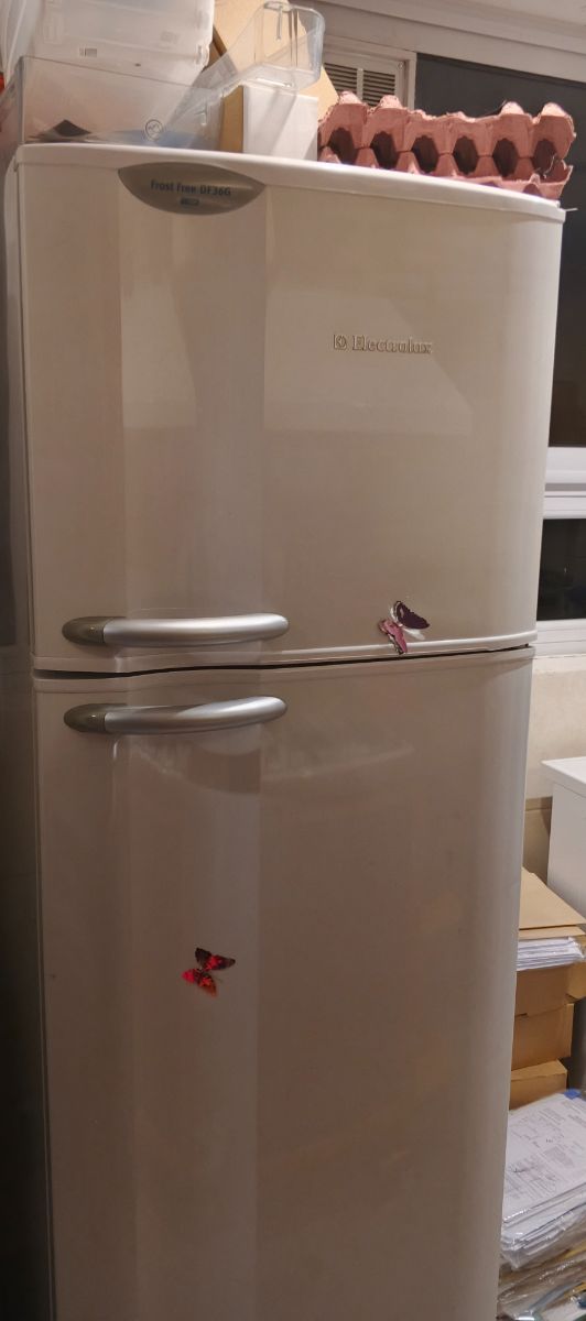 Heladera No frost Electrolux DF36G