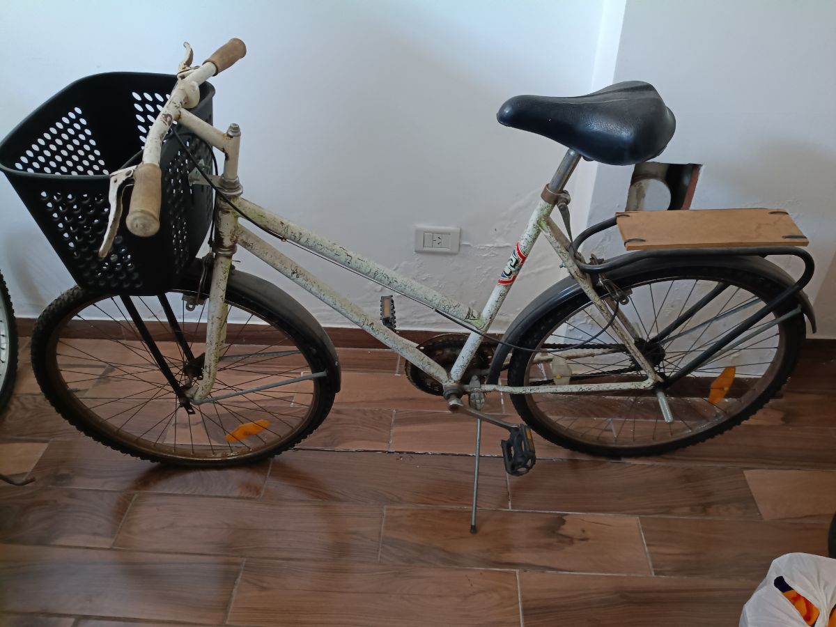 Bicicleta Paseo Rodado 26  Adultos