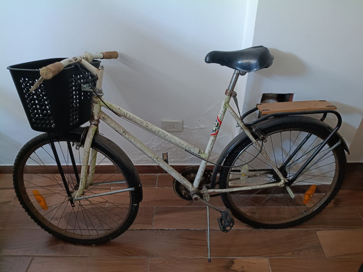 Bicicleta Paseo Rodado 26  Adultos